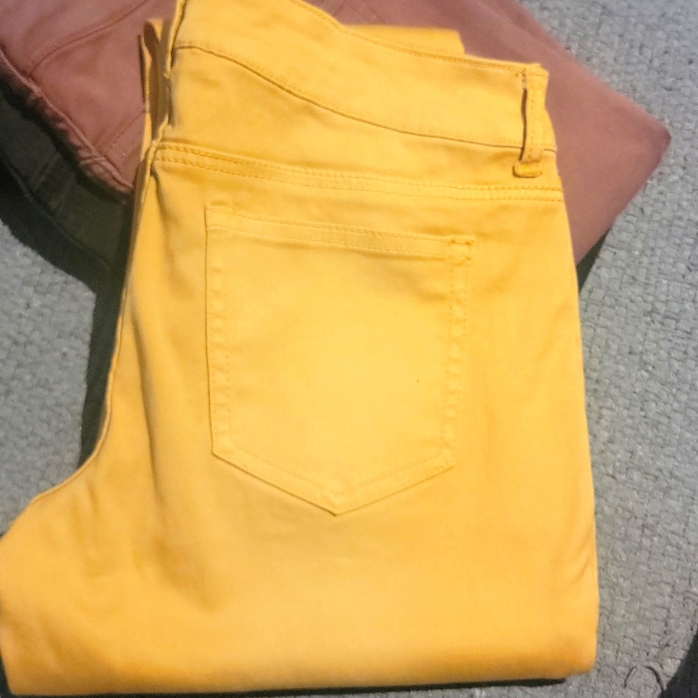 Maurices ● skinny ankle ● gold ● M/R